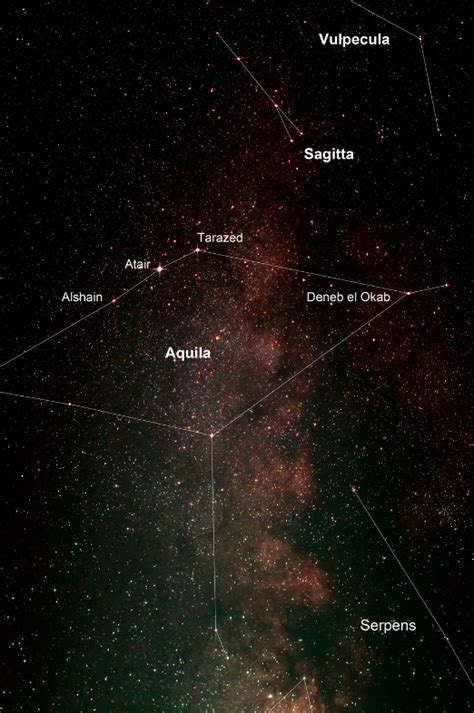 List of stars in Aquila .